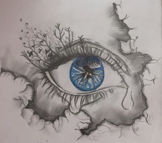 Fractured Vision