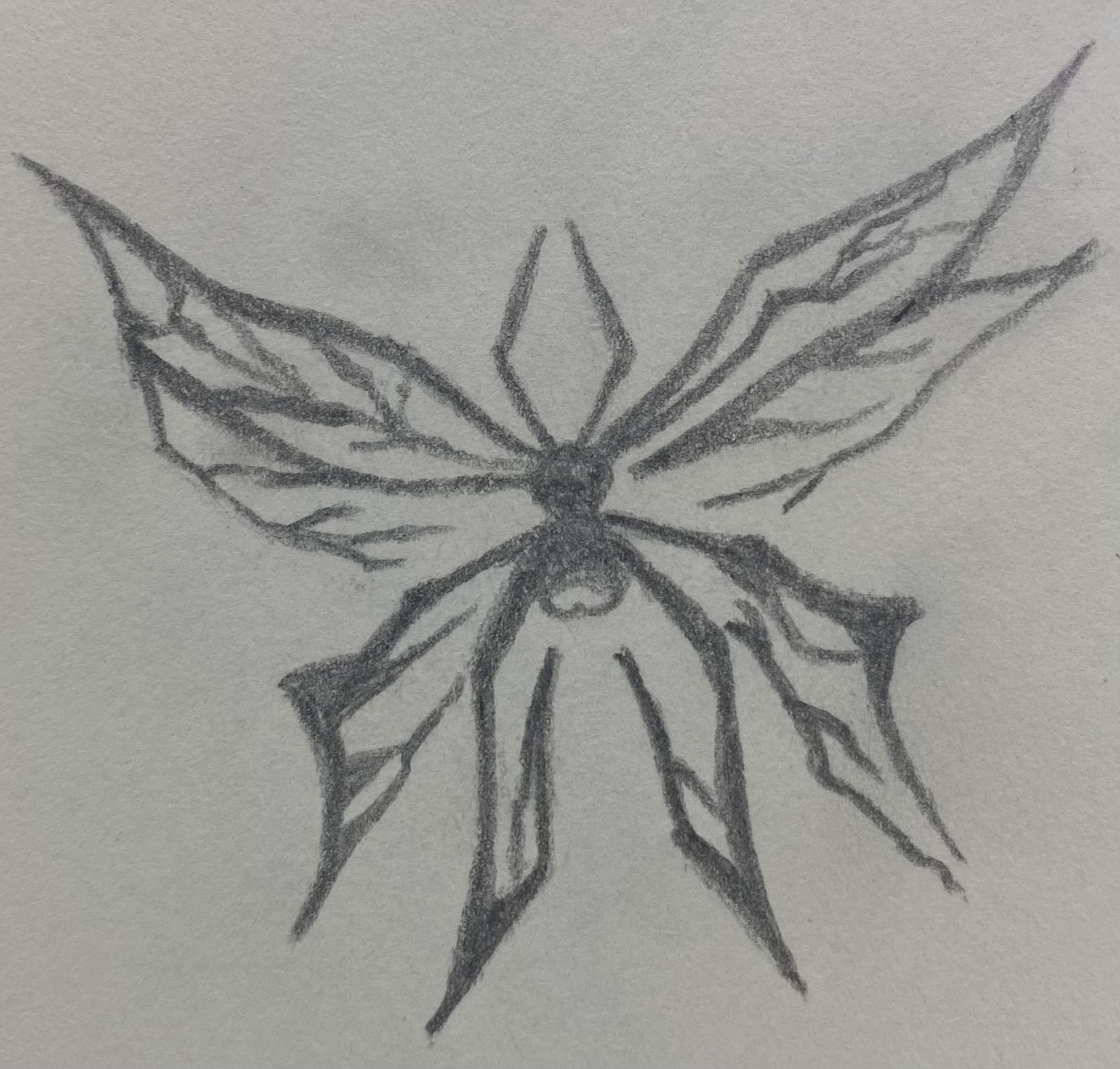 Insecta