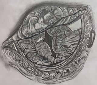 Dragon Eye