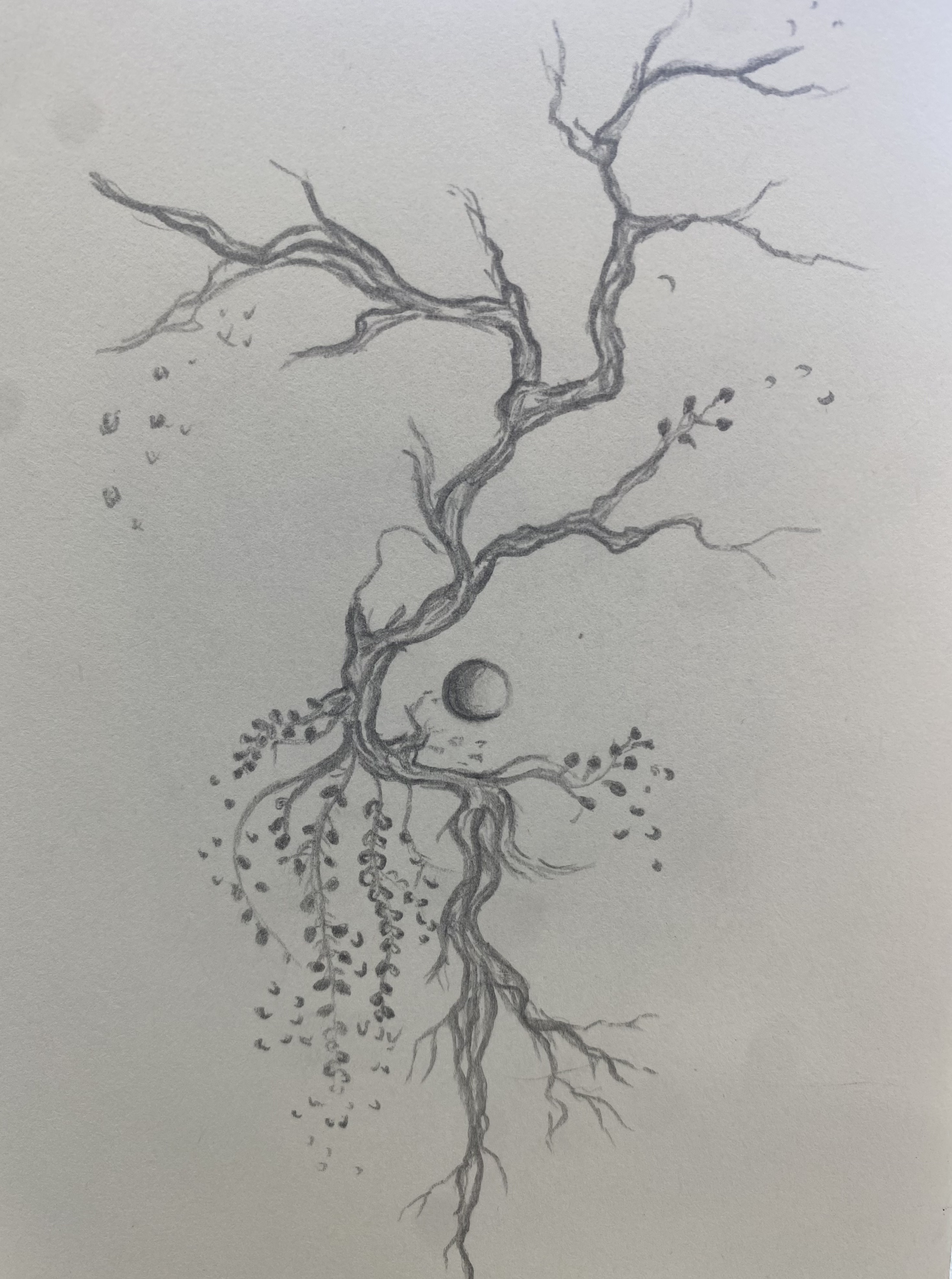 Threaded Branches